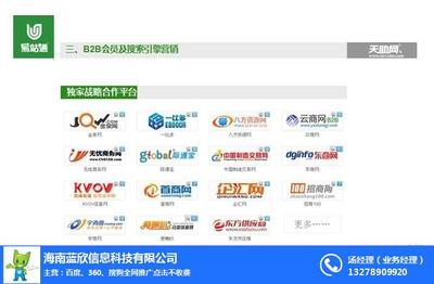 海口网络推广与软件开发 蓝欣在线咨询助力企业数字化转型
