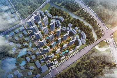 海南 软件开发者的健康与财富双重机遇